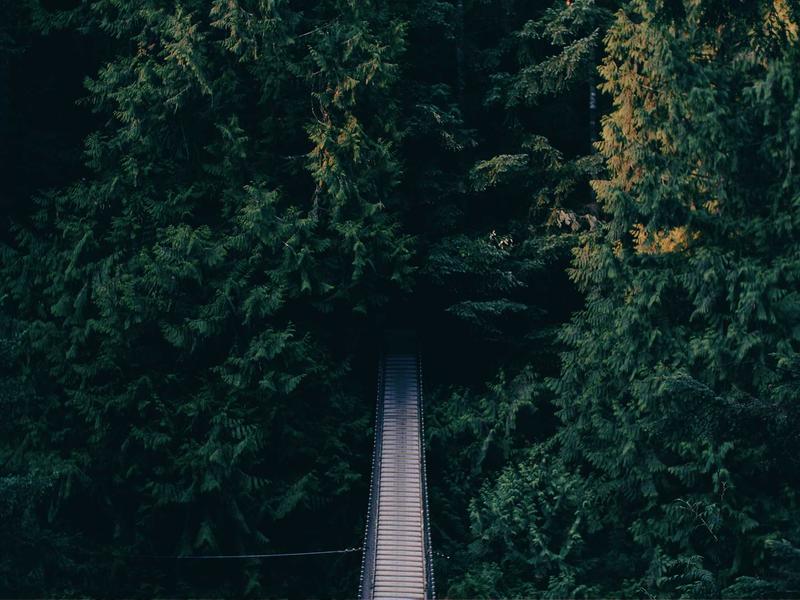 올인원 펫 어메니티